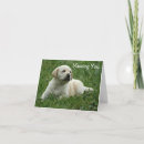 Zoek naar labrador puppy kaarten Mist u