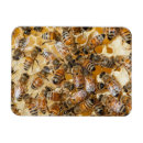 Zoek naar farm magneten Landbouw