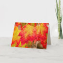 Zoek naar canada kaarten Groet