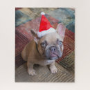 Zoek naar franse buldog puzzels Canine