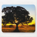 Zoek naar ochtenden muismatten Zonsopgang