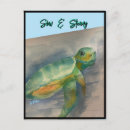 Zoek naar baby schildpad briefkaarten Zee