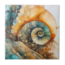 Zoek naar fossiel tegels Ammoniet