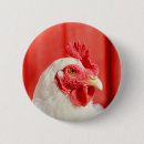 Zoek naar boerderij dieren buttons Schuur