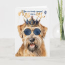 Zoek naar wheaten terriër Honden