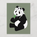 Zoek naar reuze briefkaarten Panda
