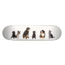 Zoek naar honden skateboards Schattig