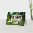 Zoek naar groeten kaarten Huisdieren