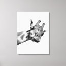 Zoek naar afrikaanse fotografie Oerwoud