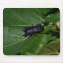 Zoek naar kever muismatten Coleoptera