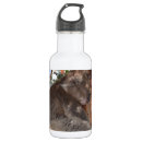 Zoek naar koala waterflessen Australië