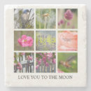 Zoek naar kolibrie bar drinkwaren Roze