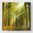 Zoek naar zonlicht klokken Bos