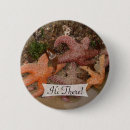 Zoek naar zeester buttons Strand