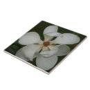 Zoek naar magnolia tegels Bloem