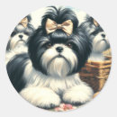 Zoek naar shih tzu stickers Schattige honden