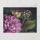 Zoek naar vintage bloemen briefkaarten Elk persoon