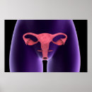 Zoek naar biomedisch posters Gezondheidszorg