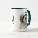 Zoek naar shih tzu mokken Kluis