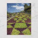 Zoek naar botanische tuin briefkaarten Plant