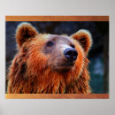 Zoek naar wildlife posters Bruin beer