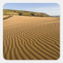Zoek naar duinen stickers Woestijn