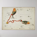 Zoek naar pisces kunst Astronomie