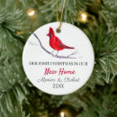 Zoek naar rode vogel ornamenten Winter
