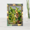Zoek naar distelvink posters Zangvogel