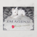 Zoek naar westie briefkaarten Doodsbang