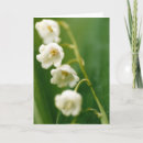 Zoek naar lelietje van dalen kaarten Witte bloemen