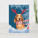 Zoek naar dachshund kaarten Wielerhond