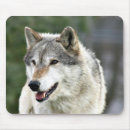 Zoek naar grijze wolf muismatten Canine