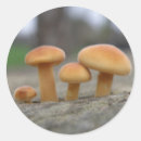 Zoek naar macro stickers Buiten