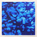 Zoek naar kwallen onderzetters Onderwater