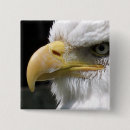 Zoek naar roofvogel buttons Adelaar