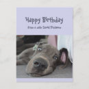 Zoek naar funny birthday briefkaarten Dier