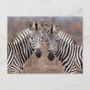 Zoek naar kruger briefkaarten Horizontaal