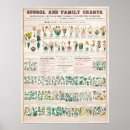 Zoek naar plant grafiek posters Planten