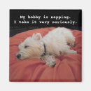 Zoek naar westie magneten Schattig