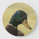 Zoek naar duck klokken Eend