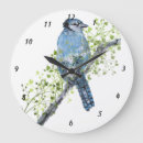 Zoek naar zangvogel klokken Vogels