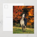 Zoek naar background briefkaarten Grijs