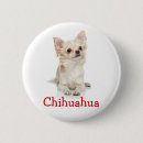 Zoek naar longs buttons Chihuahua