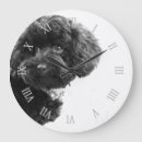 Zoek naar poedels kunst Gezelschapsdieren