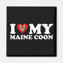 Zoek naar maine coon magneten Kat