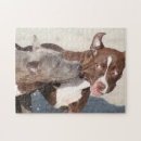 Zoek naar pitbull puzzels Pets