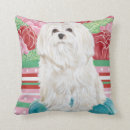 Zoek naar maltese kussens Huisdieren