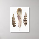 Zoek naar feather kunst Vogel