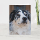 Zoek naar australische herder kaarten Voor hem/haar